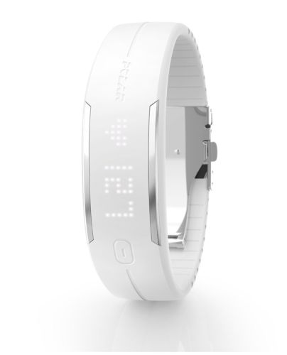 Polar Loop 2